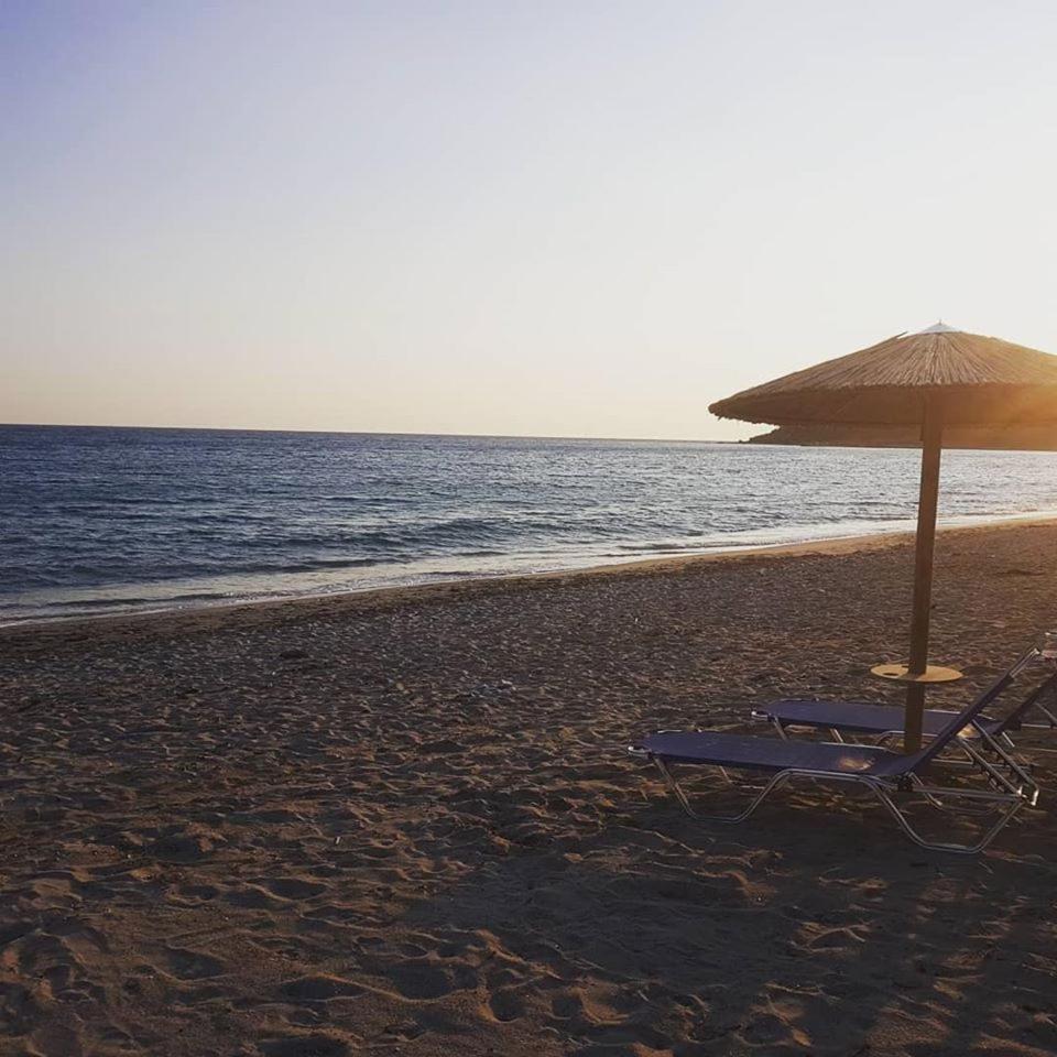 Ocean Hotel Resort كاستروزيكيا المظهر الخارجي الصورة
